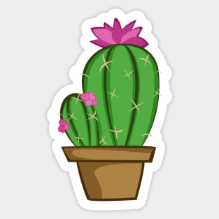 Cactus Cartoon Sticker